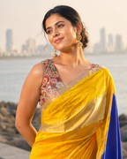 Pochampalli Silk