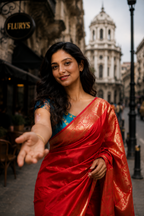 Banarasi Silk