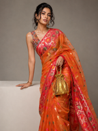 Banarasi tissue silk